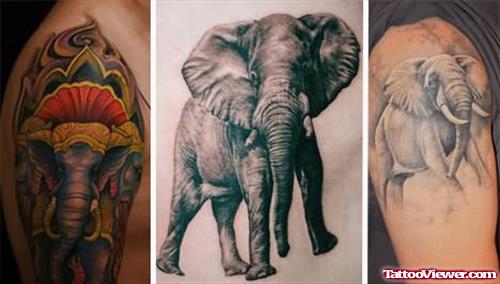 Elephants Tattoos Pictures