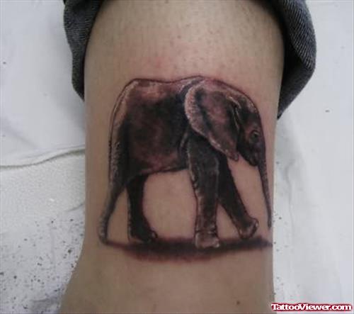 Elephant Tattoo For Bicep