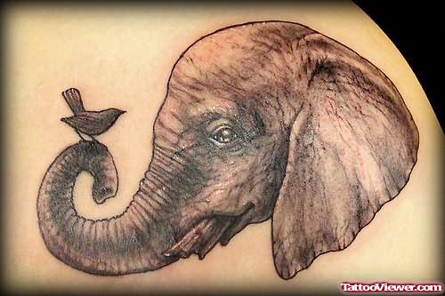 Elephant Head And Bird Tattoo