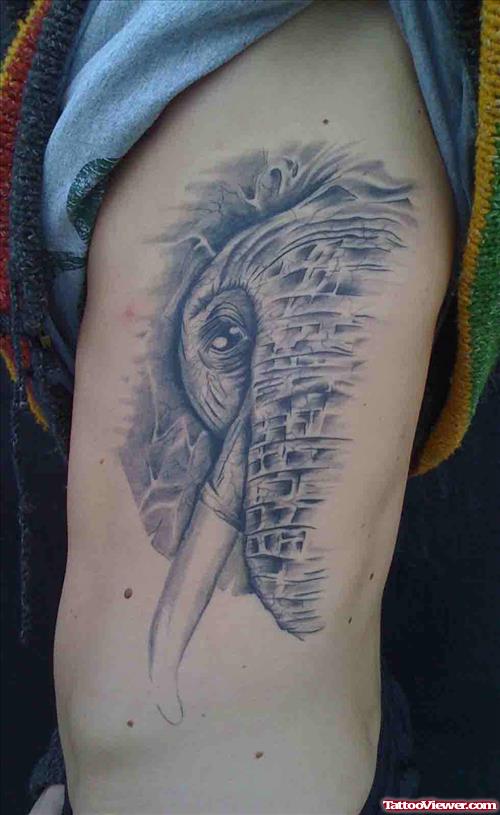 Elephant Face Tattoo On Rib