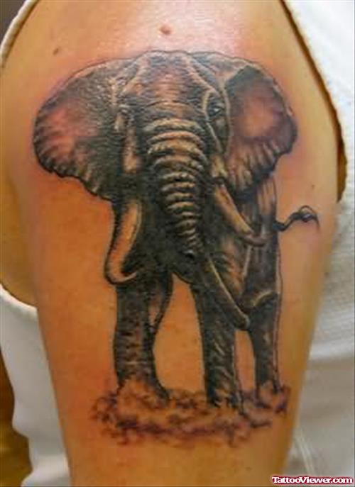 Black Elephant Tattoo On SHoulder