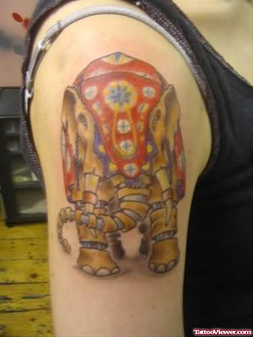 Baby Elephant Tattoo On Shoulder