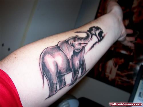 Elephant Tattoo On Arm by Tattoostime