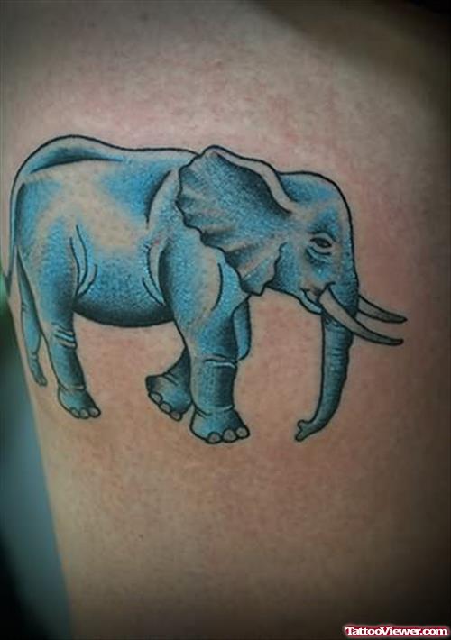 Blue Elephant Tattoo