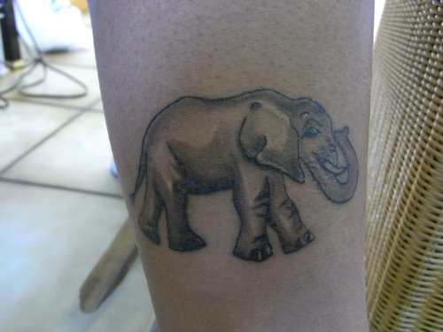 Simle Grey Ink Elephant Tattoo