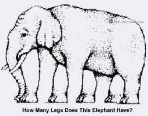 Many Legs Elephant Tattoo Sample