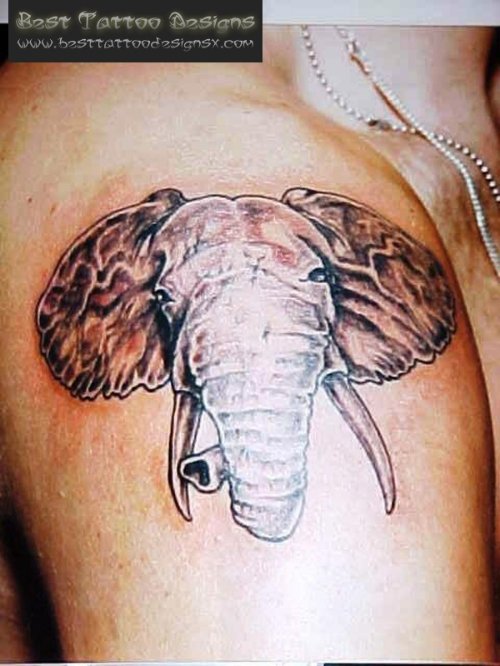 Grey Elephant Head Tattoo On Shoulder