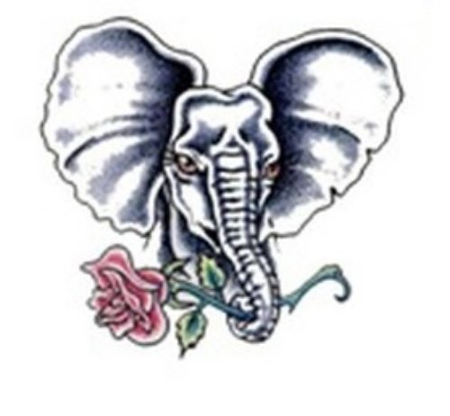 Red Rose With Elephant Head Tattoo Design