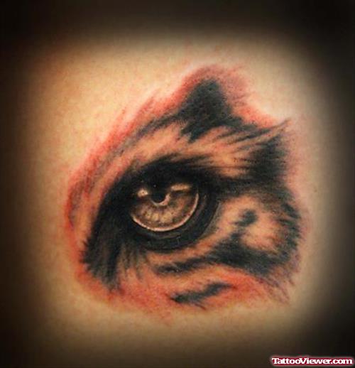 Awesome Color Ink Animal Eye Tattoo