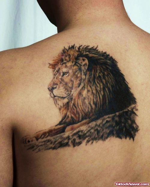 Grey Ink Lion Face Tattoo On Back