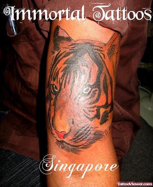 Colored Tiger Face Tattoo
