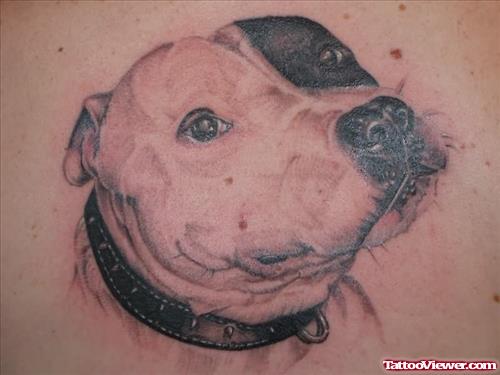 Amazing Dog Head Face Tattoo