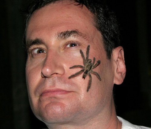 Grey Ink Spider Face Tattoo For Men