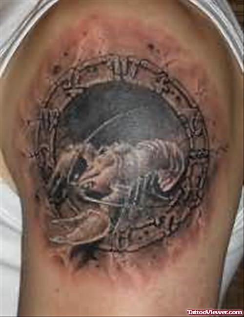 Scorpion Fantasy Tattoo