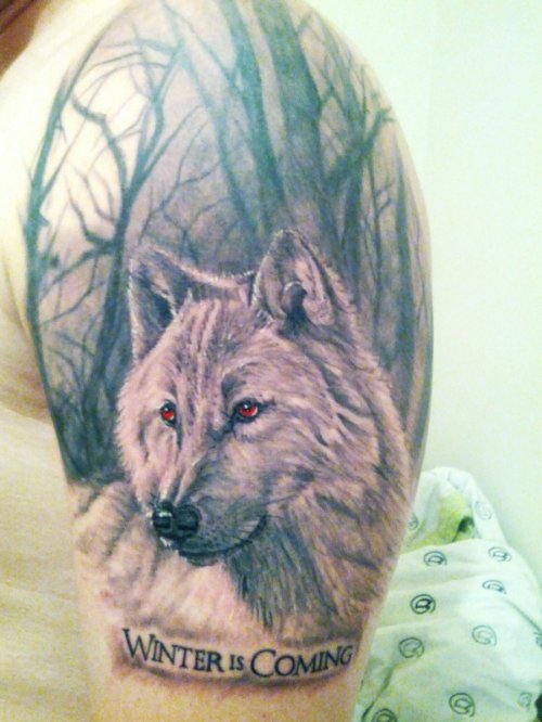Red eyes Wolf Head Fantasy Tattoo On Left Half Sleeve