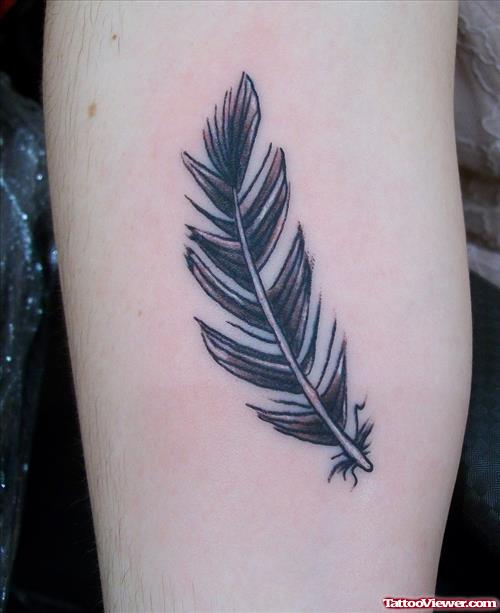 Grey Ink Feather Tattoo On Bicep