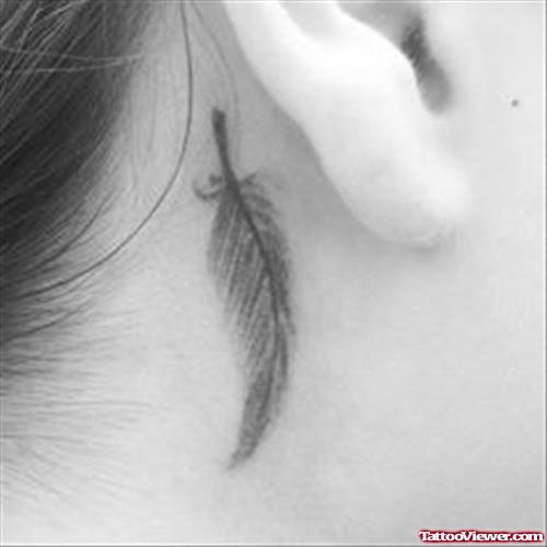 Feather Tattoo On Back Ear