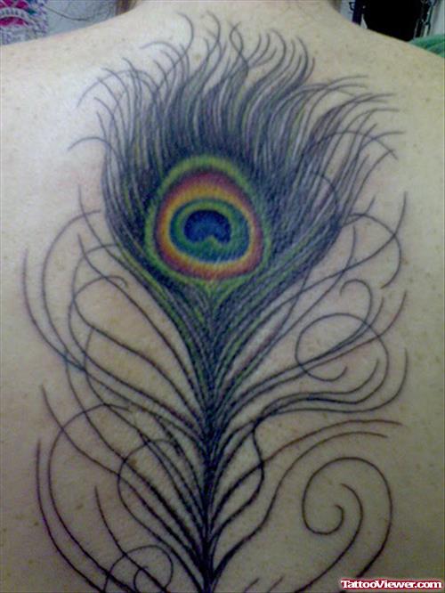 Cute Colored Peacock Feather Tattoo On Back