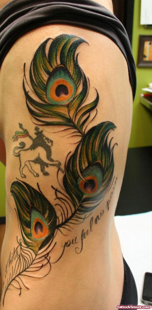 Colored Peacock Feather Tattoo On Left Side Rib