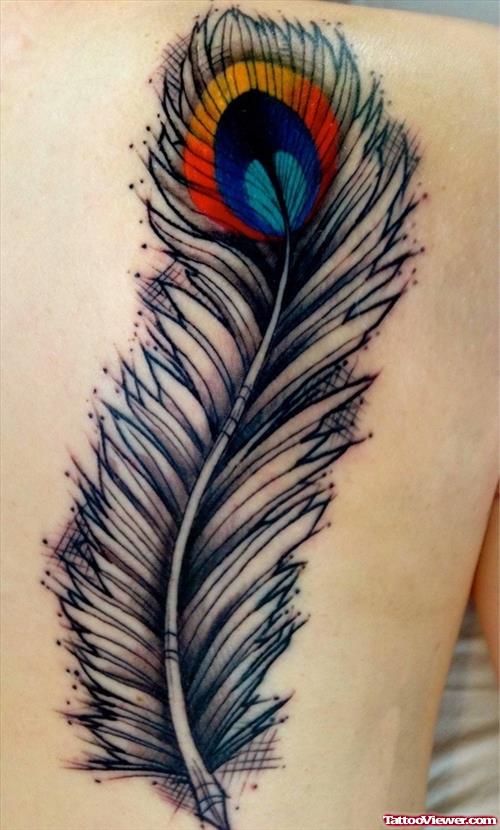 Amazing Colored Peacock Feather Tattoo