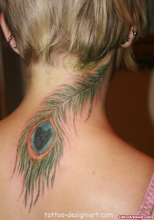 Peacock Feather Tattoo On Upperback