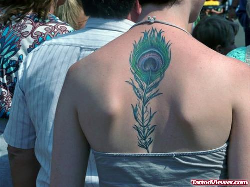 Peacock Colored Feather Tattoo On Upperback