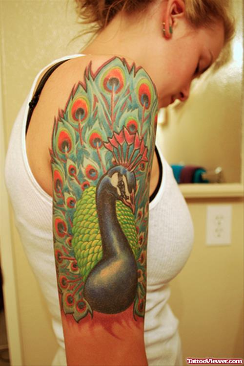 Great Colored Feather Tattoo On Half Sleeve