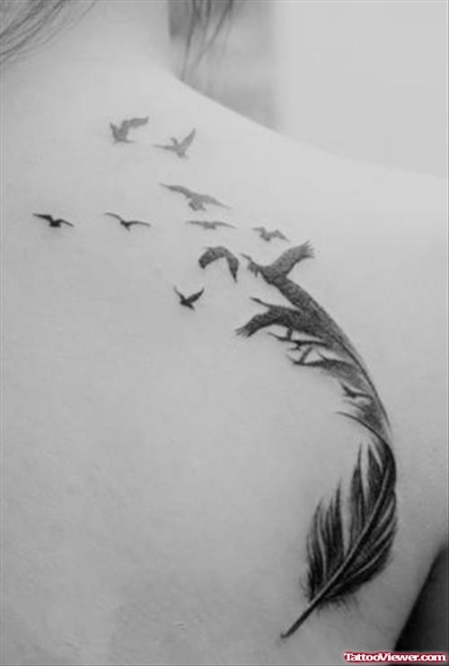 Good Flying Birds And Feather Tattoo On right Back Shoulder