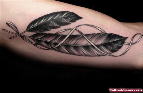 Feathers Tattoos On Biceps
