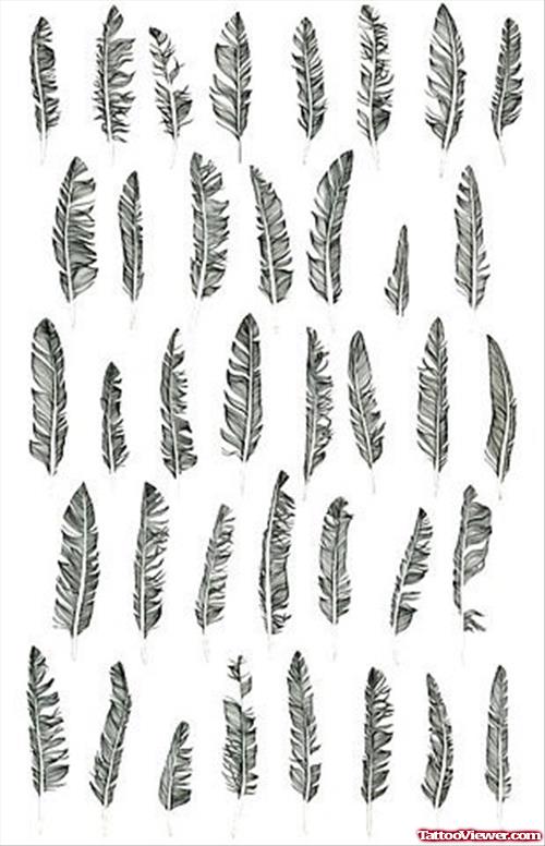 Birds Feathers Tattoos Designs