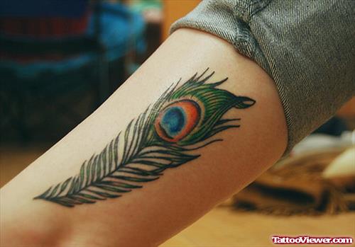 Awesome Small Colored Peacock Feather Tattoo