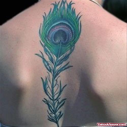 Green Peacock Feather Tattoo On Back