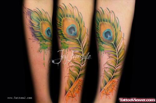 Peacock Feathers Tattoos
