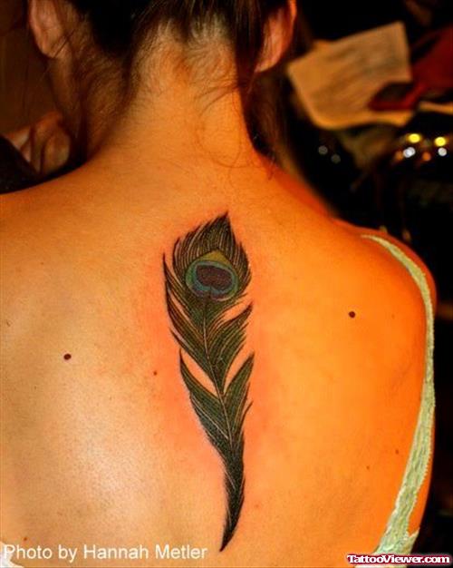 Colored Peacock Feather Tattoo On Back