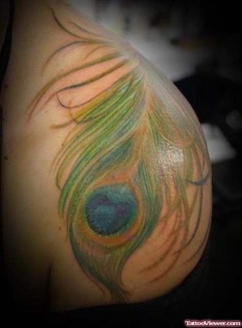Shoulder Color Ink Peacock Feather Tattoo