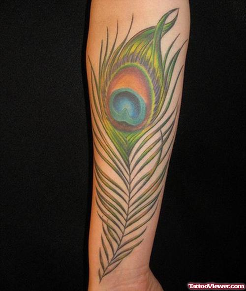Colored Peacock Feather Tattoo On Arm