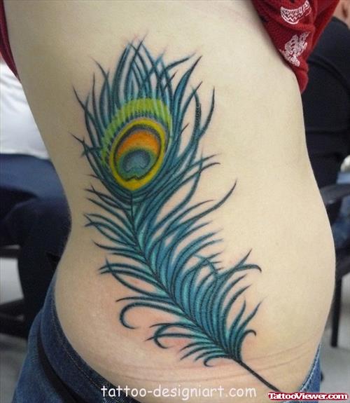 Awesome Colored Peacock Feather Tattoo On Rib Side