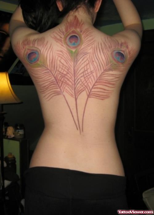 Peacock Feathers Tattoos On Girl Upperback