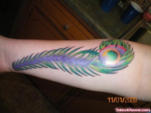 Peacock Feather Tattoo On Sorearm