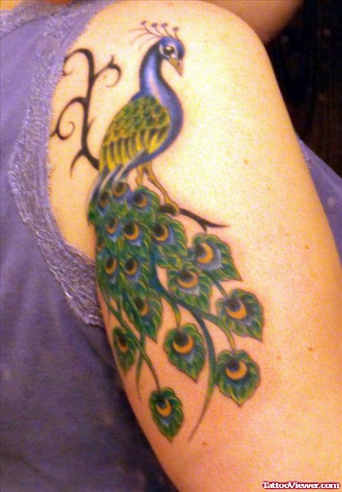 Colored Peacock Feather Cool Tattoo On Half Sleeve