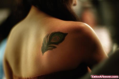 Peacock Feather Tattoo On Right Back Shoulder
