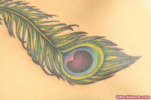 Peacock Feather Colro Ink Tattoo