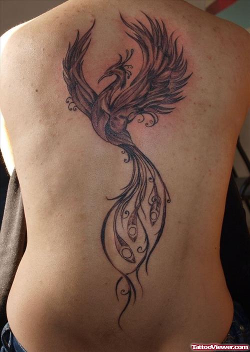 Grey Ink Phoenix Feather Tattoo On Back