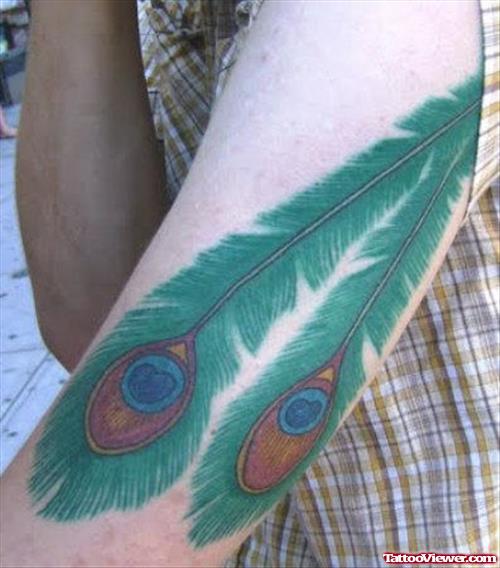 Green Peacock Feathers Tattoos