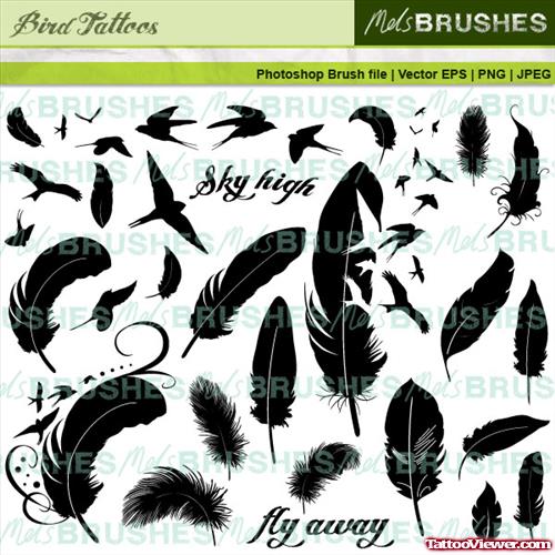 Black Feather Tattoos Designs
