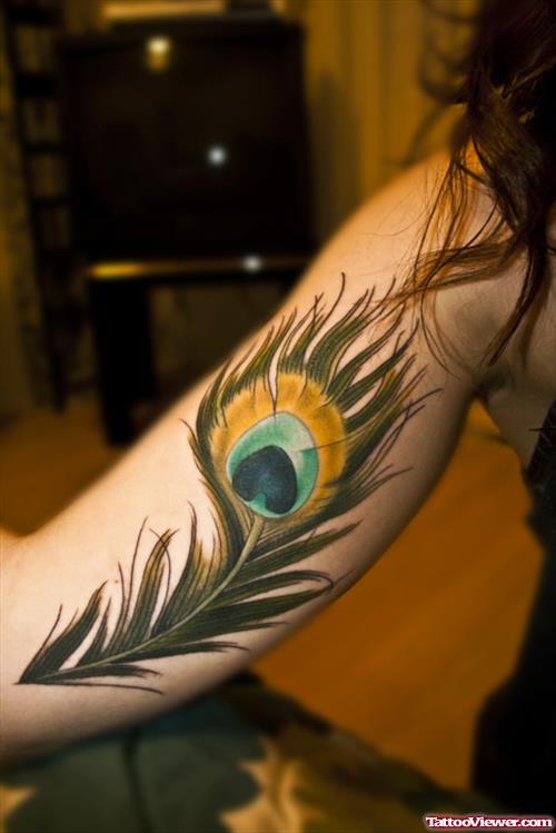 Biceps Peacock Feather Tattoo
