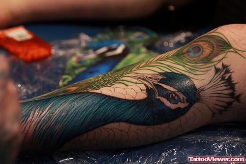 Peacock Feather And Head Tattoo