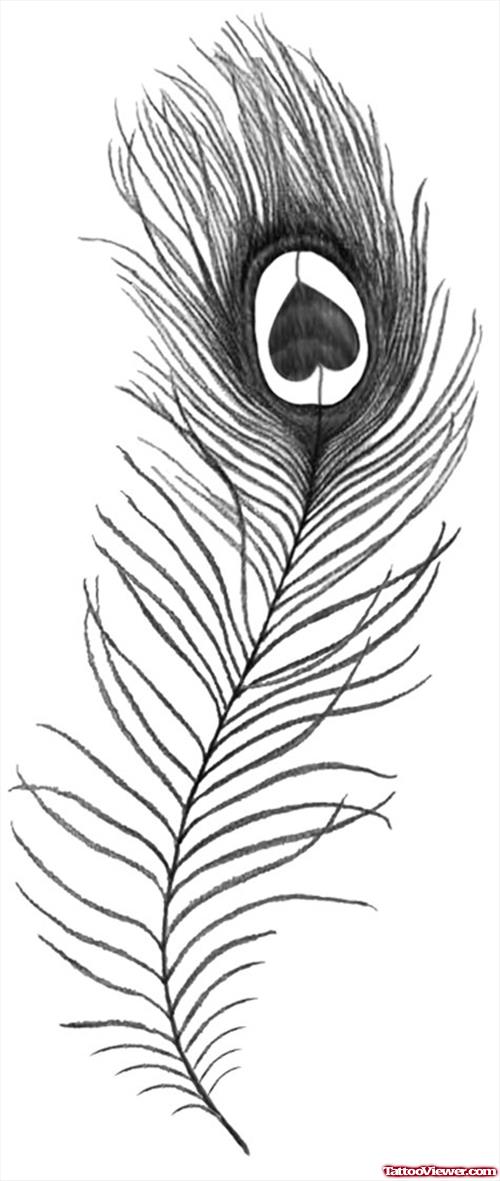 Grey Ink Peaock Feather Tattoo Design