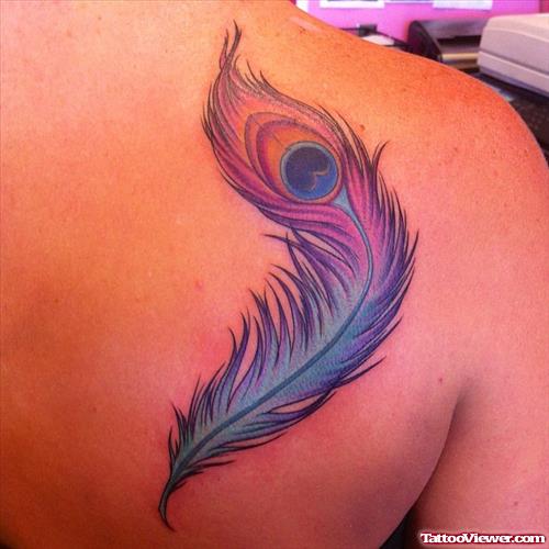 Colored Peacock Feather Tattoo On Right Back Shoulder