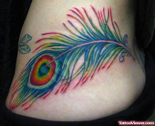 Latest Colored Peacock Feather Tattoo